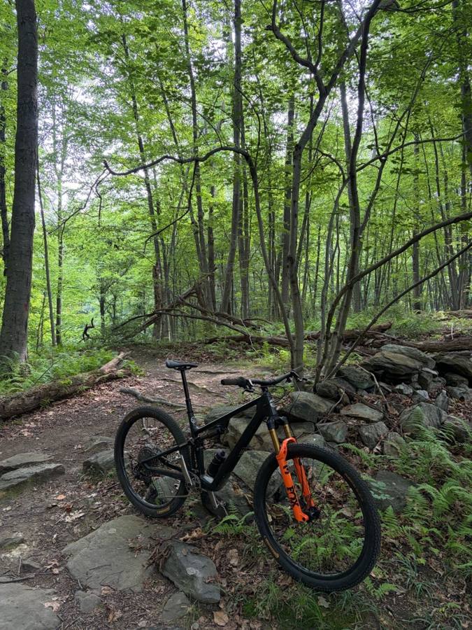 Wilcoln's Ibis Ripley SL build on the trail